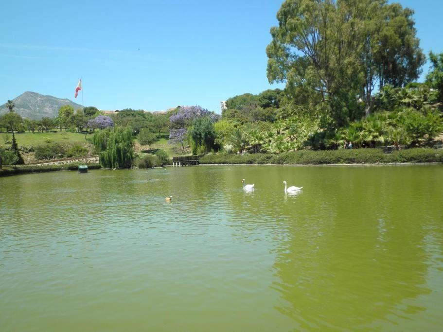 בנאלמדנה Randmar Apartment Costa Del Sol מראה חיצוני תמונה