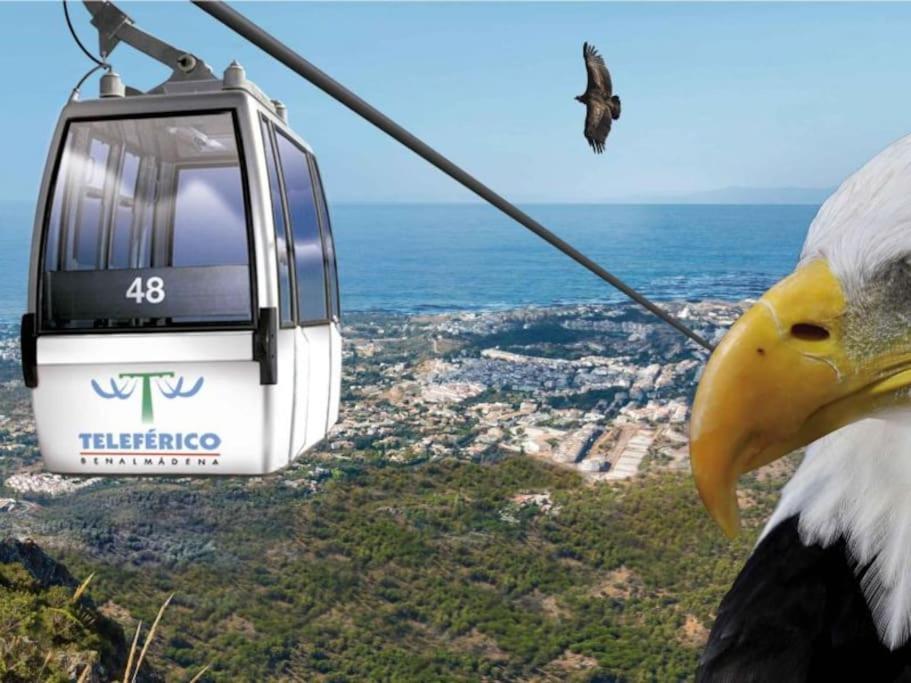 בנאלמדנה Randmar Apartment Costa Del Sol מראה חיצוני תמונה